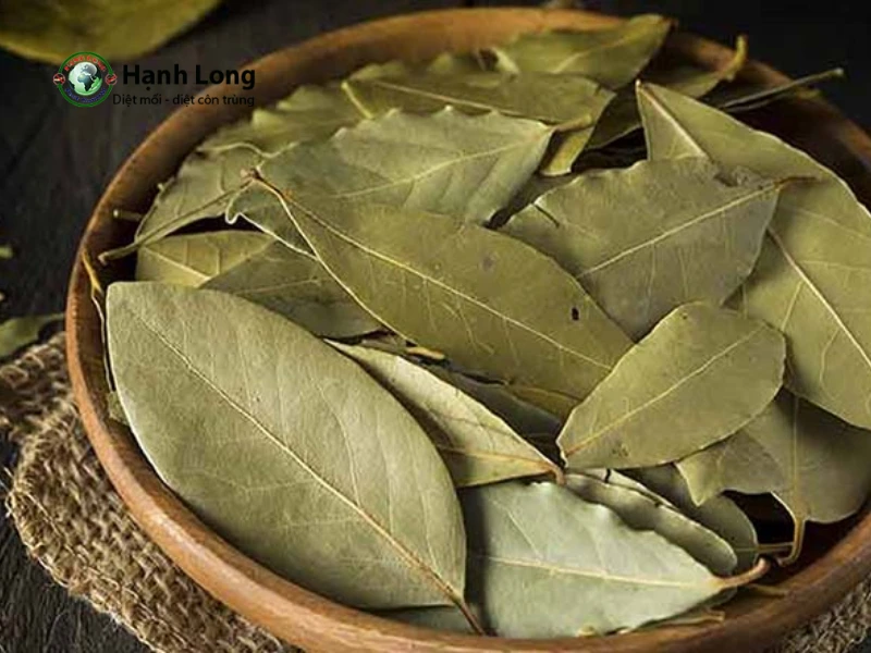 diệt côn trùng tại nhà