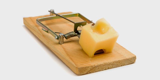 Cách sử dụng bẫy chuột kẹp bán nguyệt hiệu quả