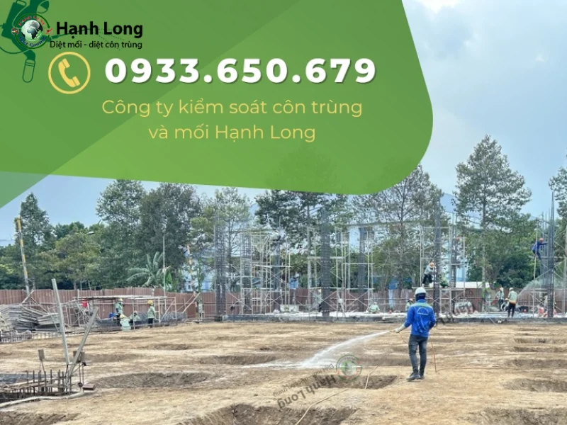 diệt mối khi xây nhà