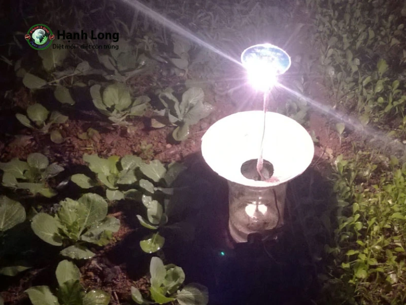 phun thuốc diệt côn trùng tại nhà