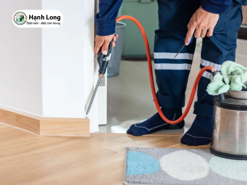 chống mối cho nhà mới xây