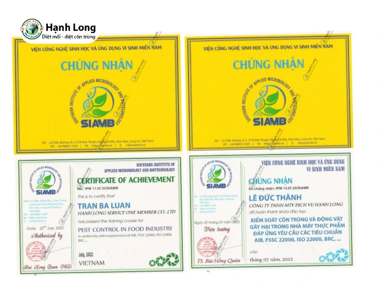 diệt mối tận gốc tại nhà