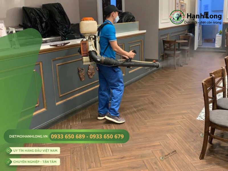 dịch vụ diệt rết