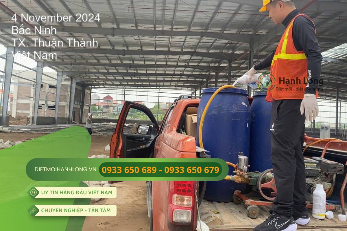 Triển khai thi công chống mối thực tế tại dự án KCN Bắc Ninh