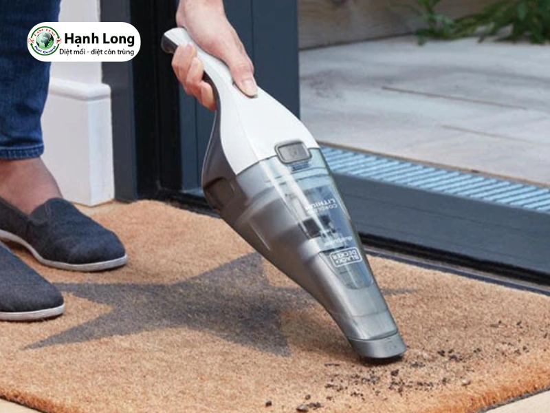 cách bắt mối cánh