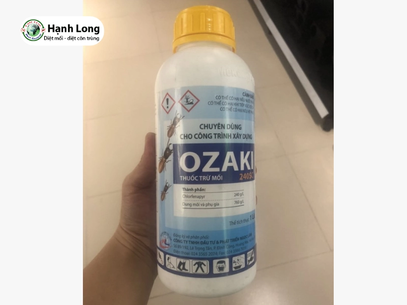 tủ bếp bị mối