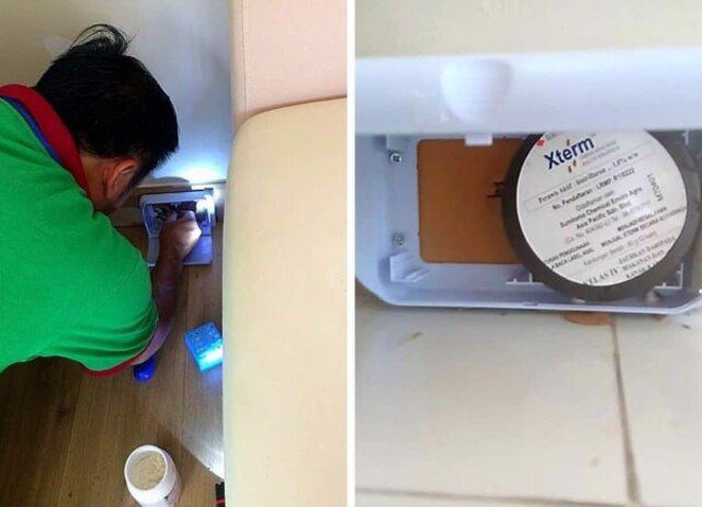 Hệ thống bả mối ag