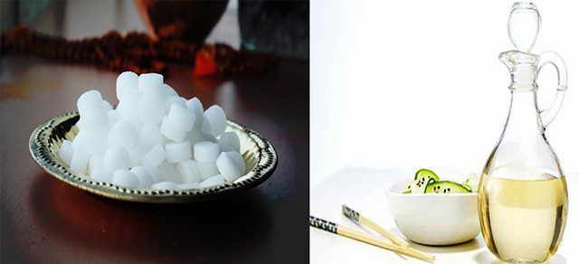 Kết hợp giấm ăn và long não đuổi chuột 