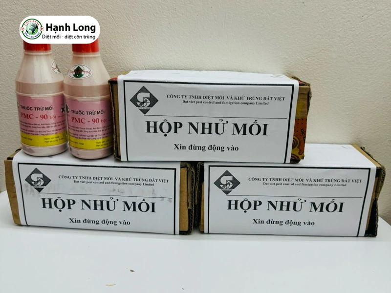 công ty diệt mối cho khách sạn 