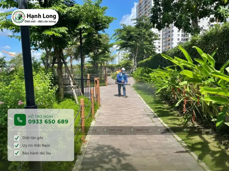 diệt mối cho villa