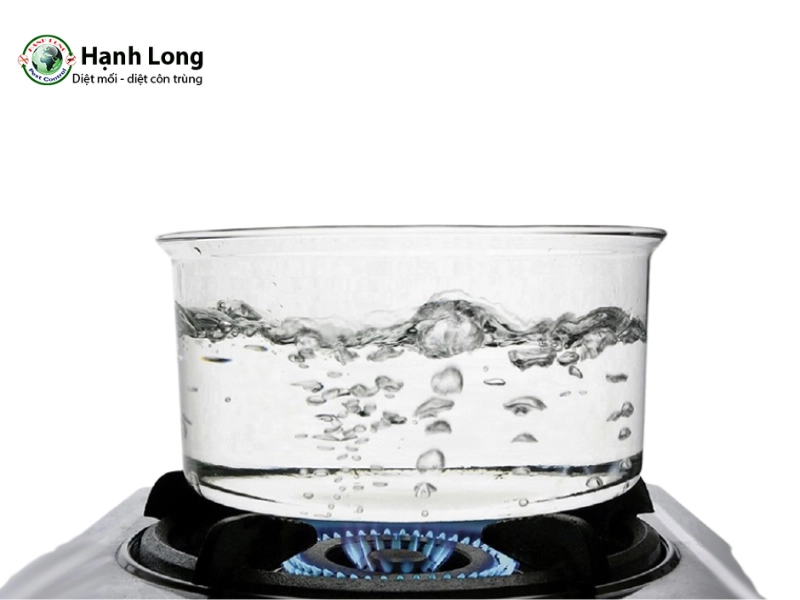 cách diệt mối dưới nền nhà