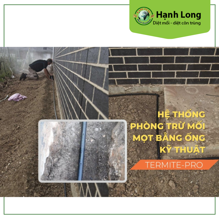 Hệ thống ống kỹ thuật Termite-pro