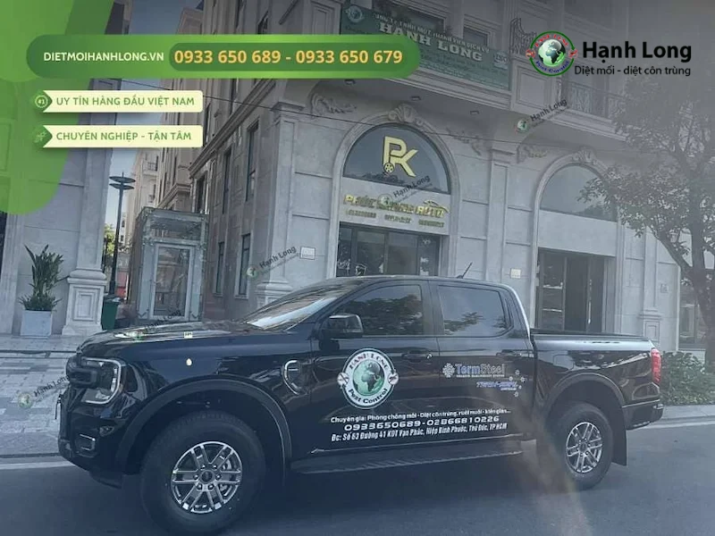 công ty diệt ruồi