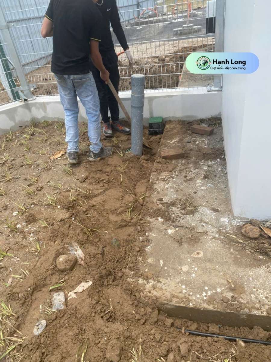 Lắp đặt ống bảo trì Termite Pro tại dự án Mapletree Bắc Giang