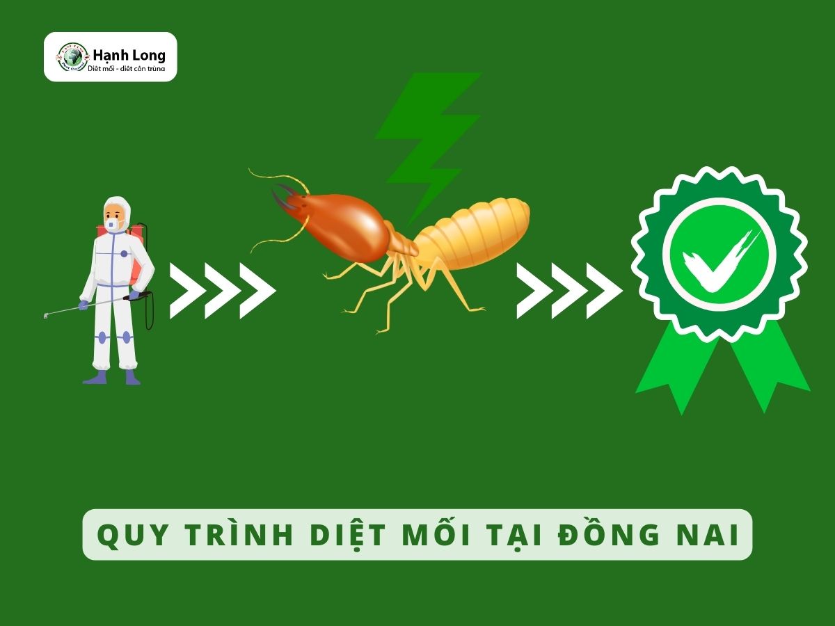 Quy trình diệt mối tận gốc tại Đồng Nai