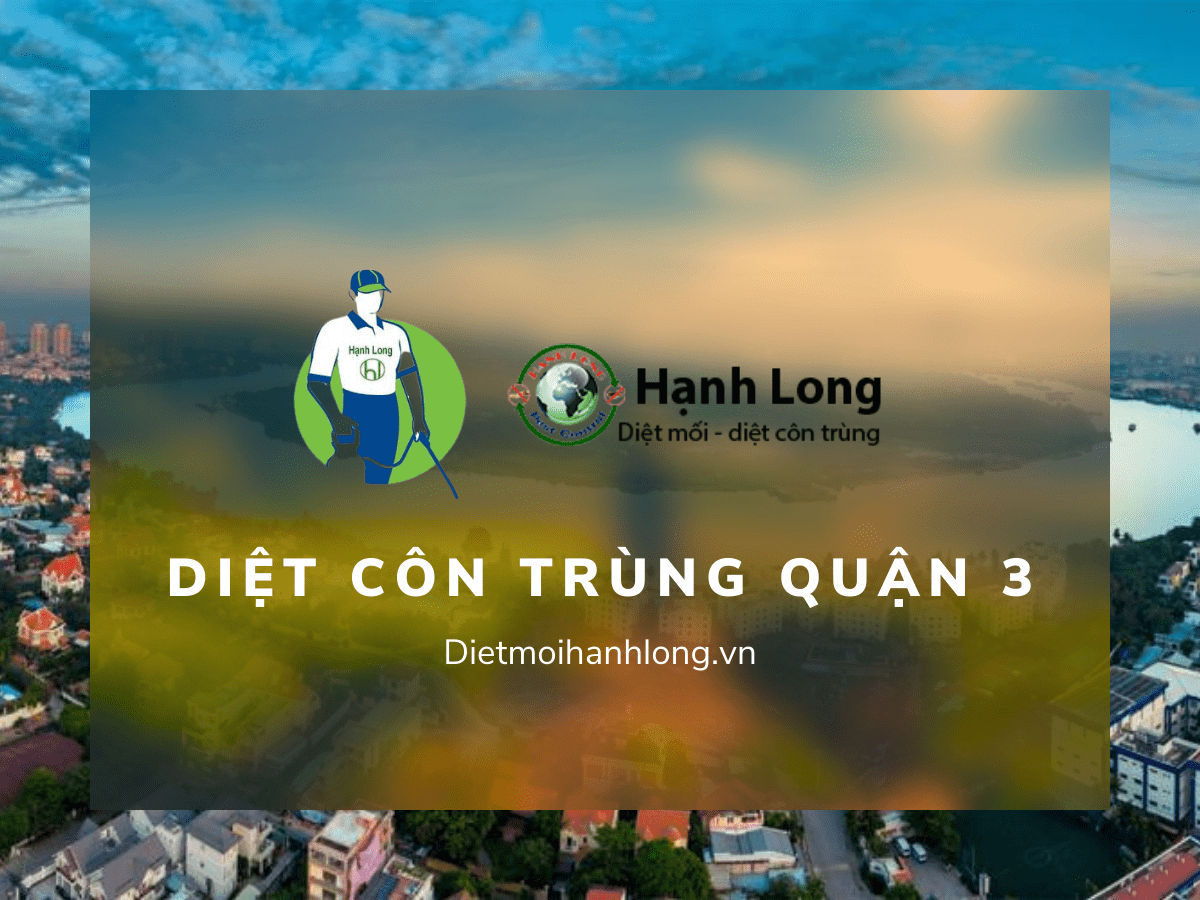 Diệt Côn Trùng Quận 3 Giá Tốt, Chuyên Nghiệp