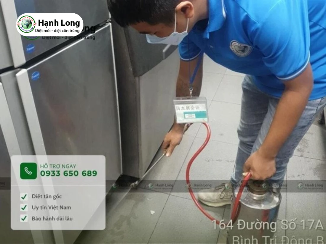 công ty diệt kiến ba khoang