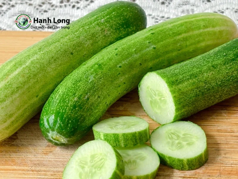 diệt côn trùng tại nhà