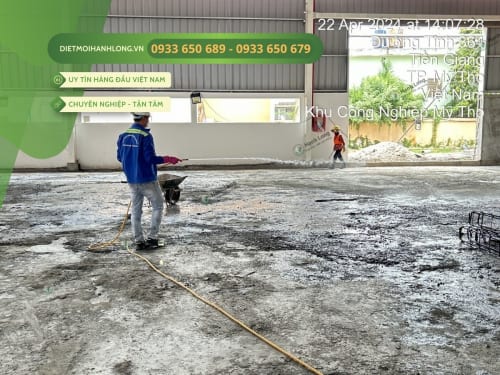 Thi công chống mối tại Mỹ Tho Tiền Giang