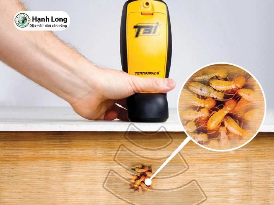 Máy Dò Mối Termatrac T3I