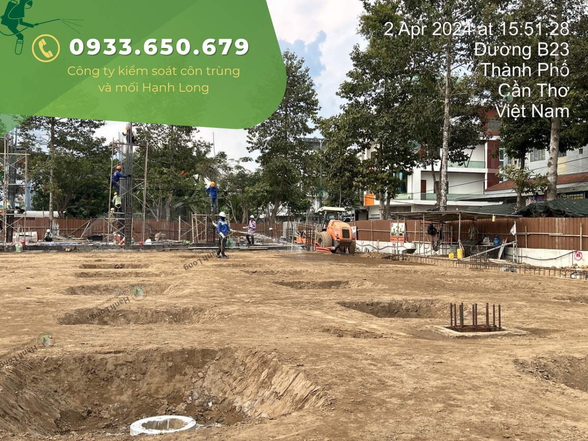 Thi công phòng chống mối công trình tại Cần Thơ
