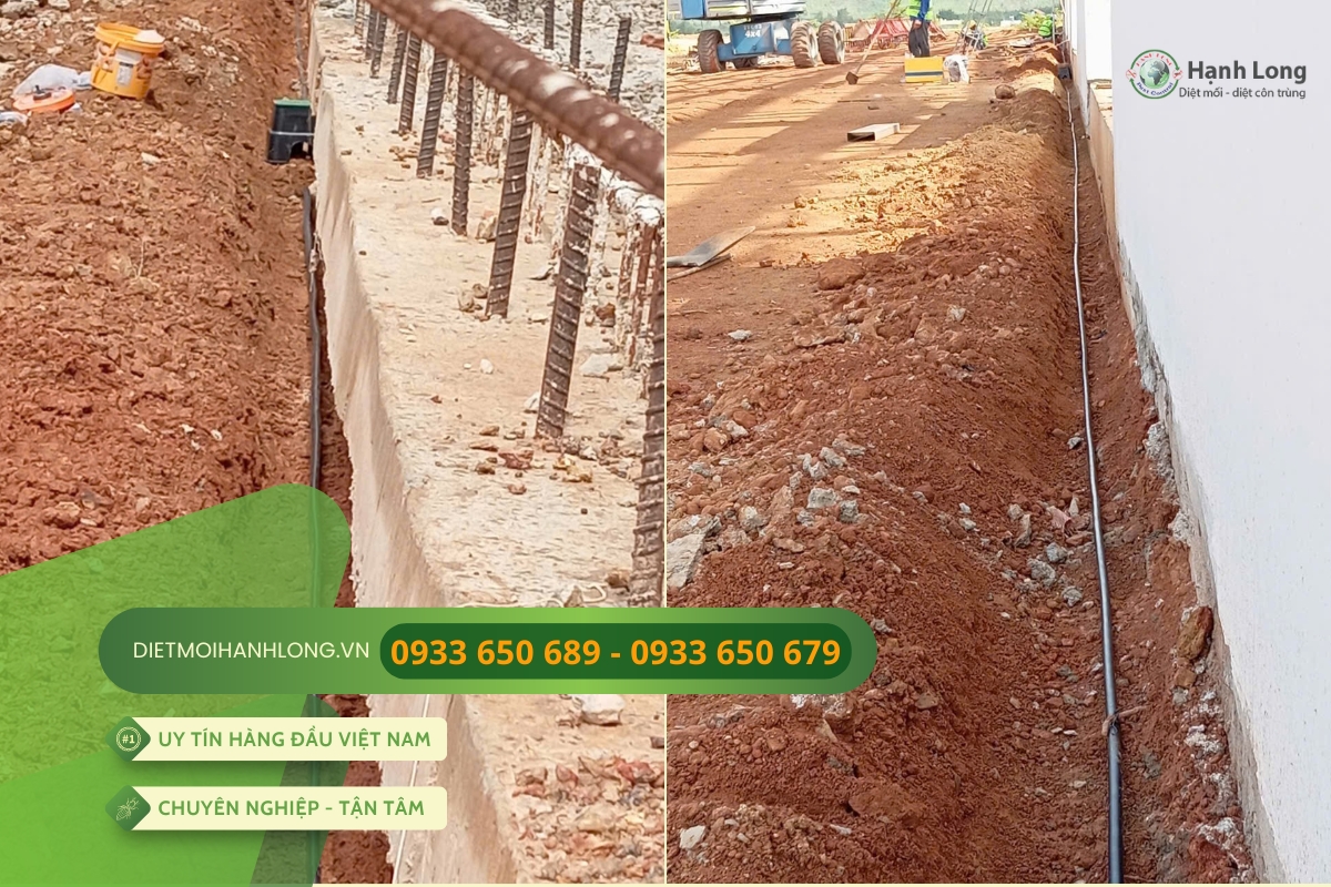 Lắp ống bảo trì Termite Pro