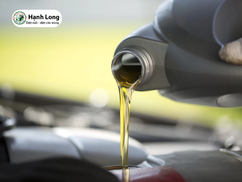 Cơ chế tác động của dầu luyn