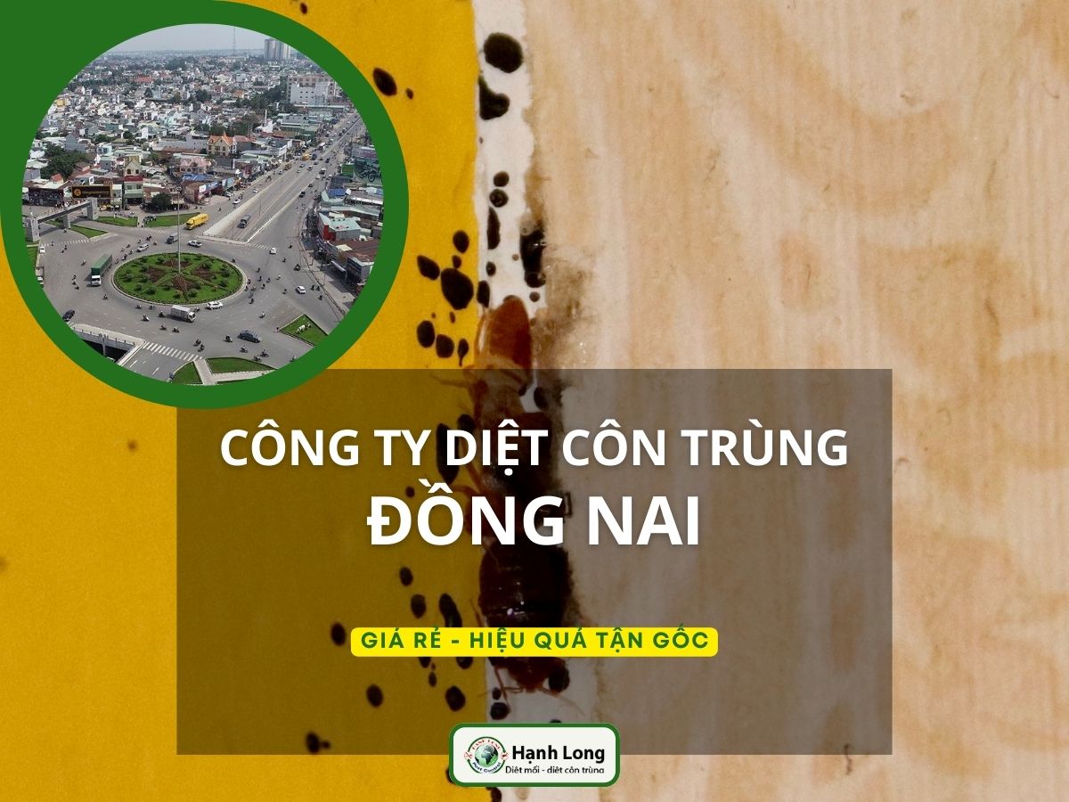 Diệt Côn Trùng Tại Đồng Nai Uy Tín, Giá Rẻ