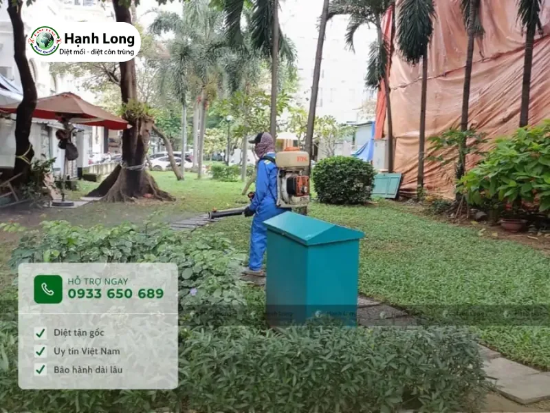 diệt mối cho resort