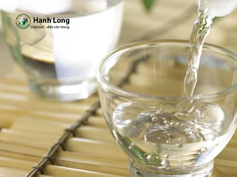 diệt côn trùng tại nhà