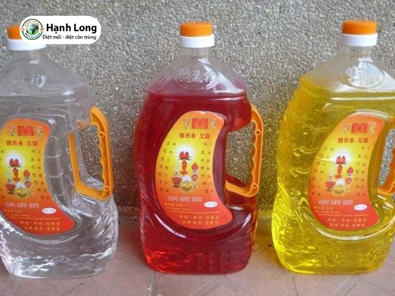 cách trị mối mọt gỗ