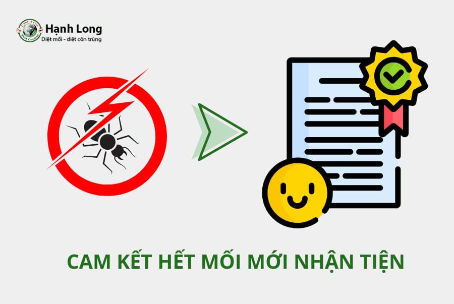 Cam kết diệt mối tại Bình Thạnh