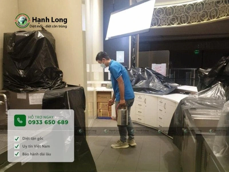 công ty diệt rết