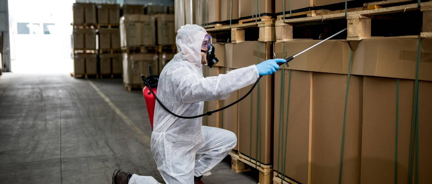 Dịch Vụ Diệt Mối Tại Tại Trảng Bom – Đồng Nai