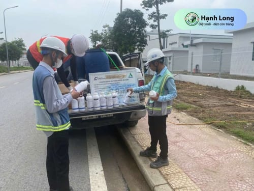 Chống mối tại dự án Mapletree Bắc Giang