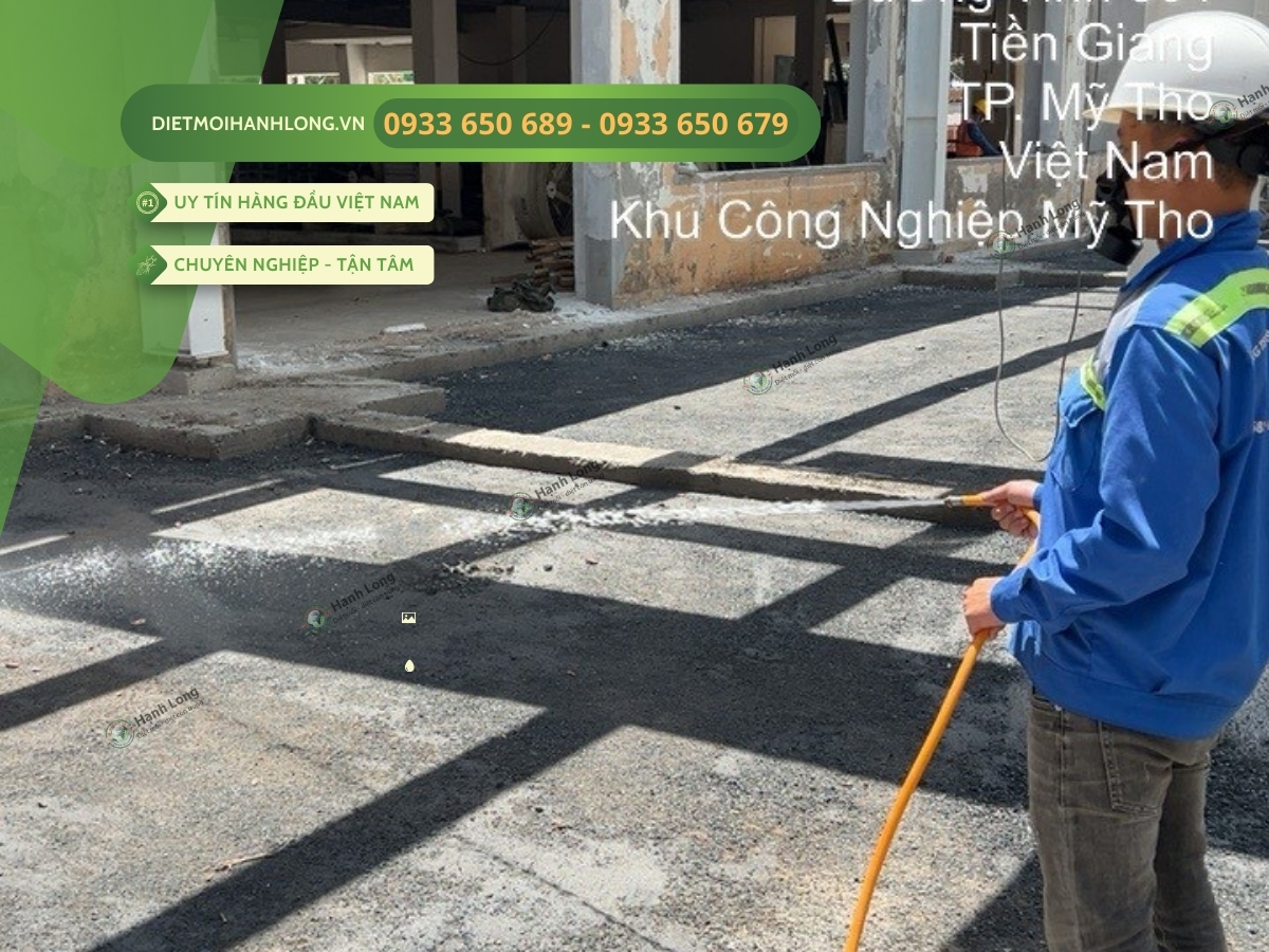 Thi công chống mối tại Mỹ Tho, Tiền Giang