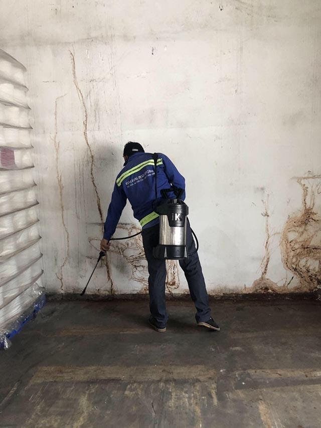 Cung cấp dịch vụ diệt mối huyện Cần Giờ