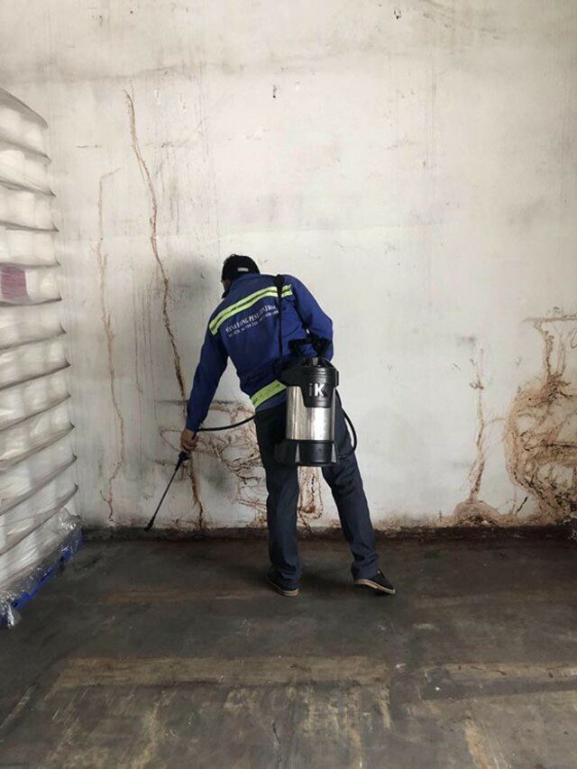 diet-moi-tai-hoc-mon