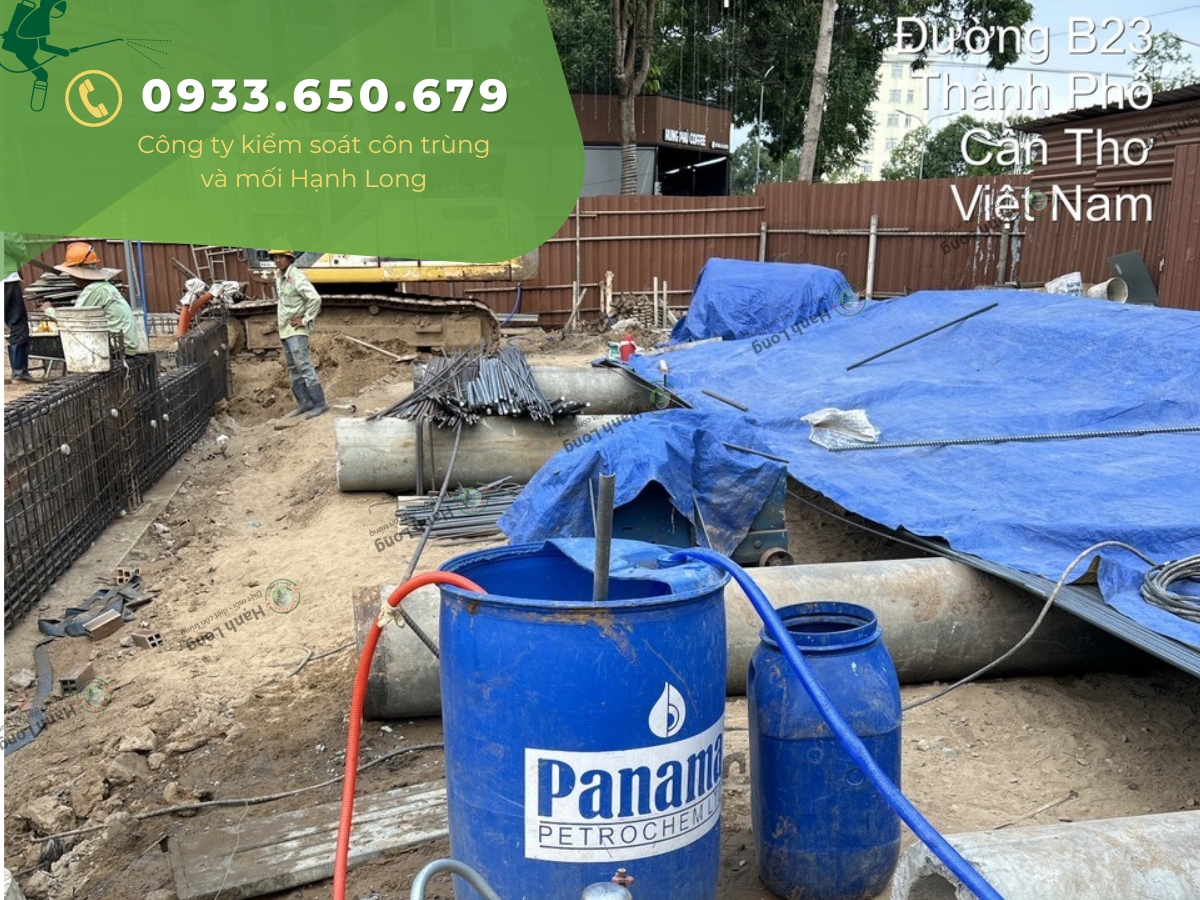 Thi công phòng chống mối công trình tại Cần Thơ