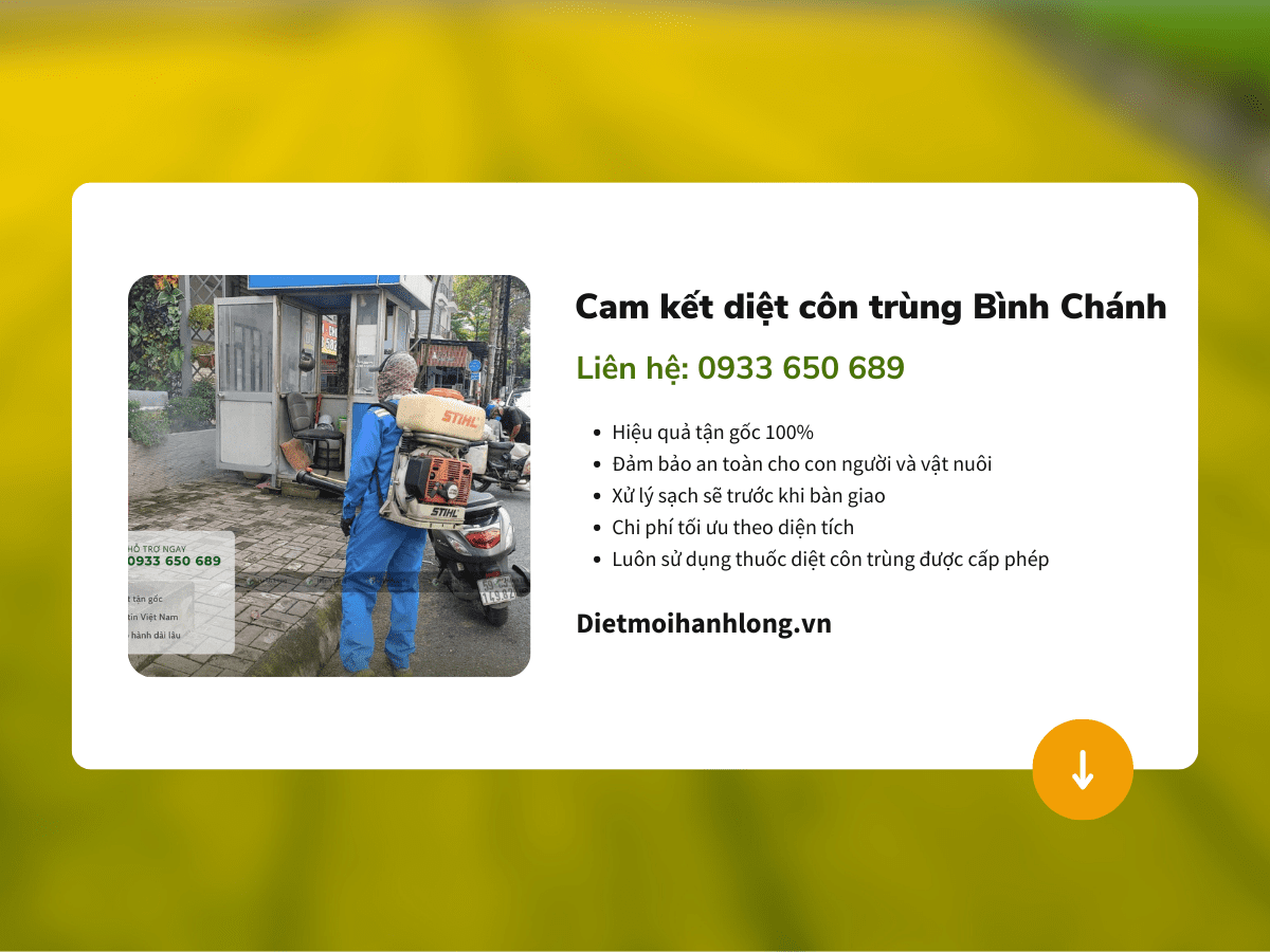 Cam kết khi diệt côn trùng tại huyện Bình Thạnh