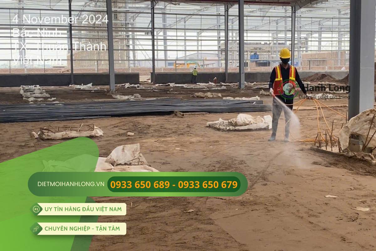 Triển khai thi công chống mối thực tế tại dự án KCN Bắc Ninh