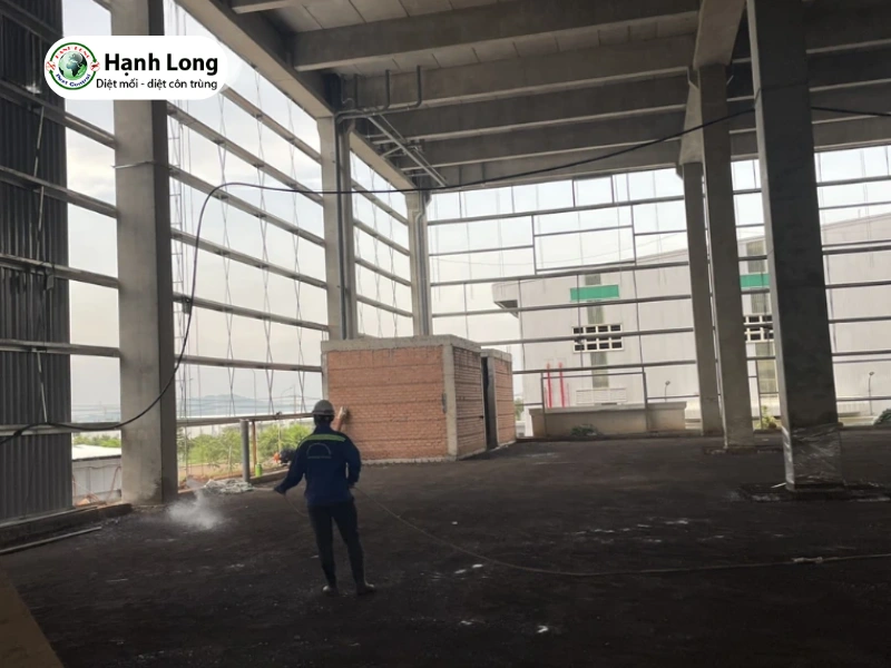 chống mối cho nhà mới xây