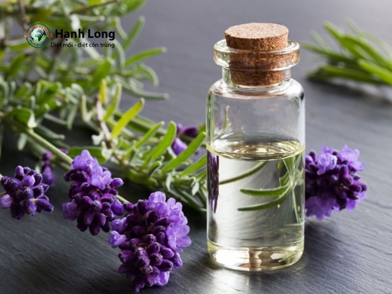 diệt côn trùng tại nhà