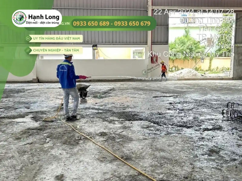 Giải pháp diệt mối chuyên nghiệp từ Công ty Hạnh Long