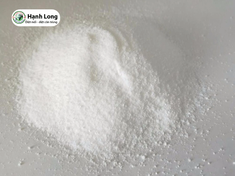 cách trị mối mọt ở gỗ