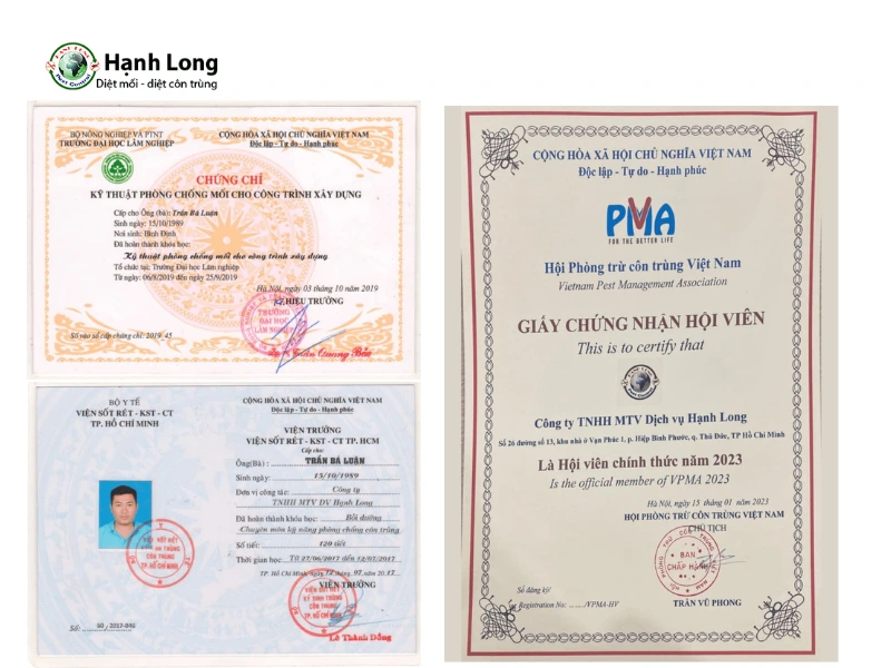 Diệt chuột xí nghiệp