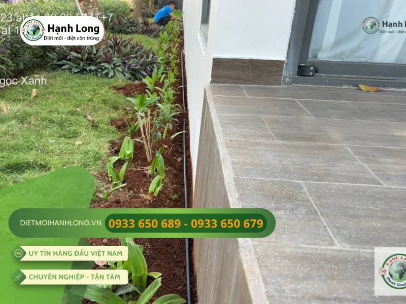 diệt mối cho resort