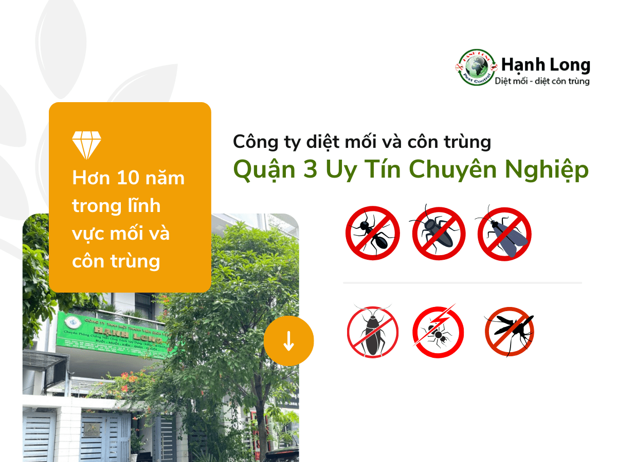 Công ty diệt côn trùng quận 3 uy tín