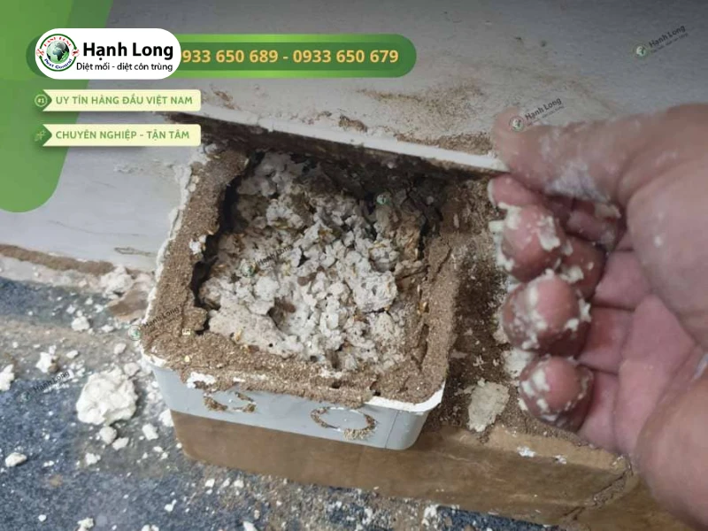 Diệt mối nhà hàng