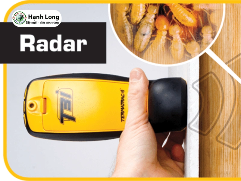 diệt mối cho biệt thự